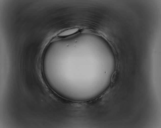 X0000086990241200705071442