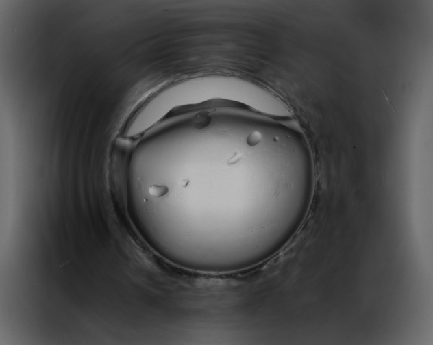 X0000086990242200705071442