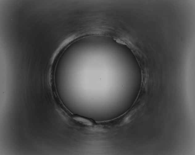 X0000086990244200705071442