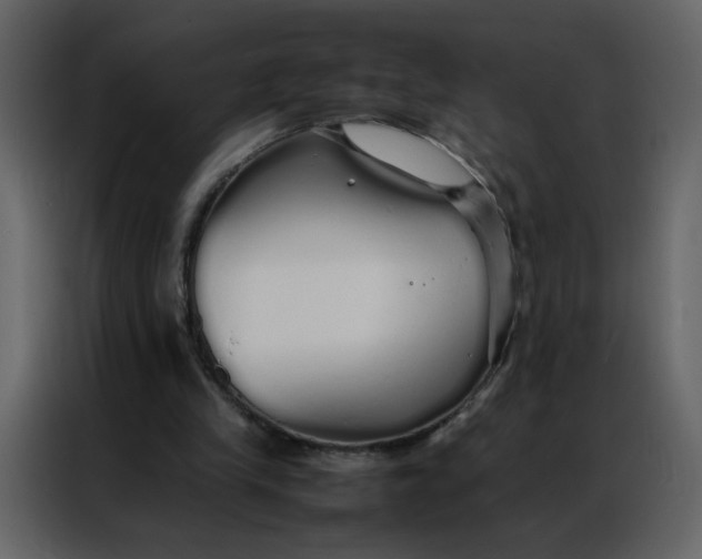 X0000086990245200705071442