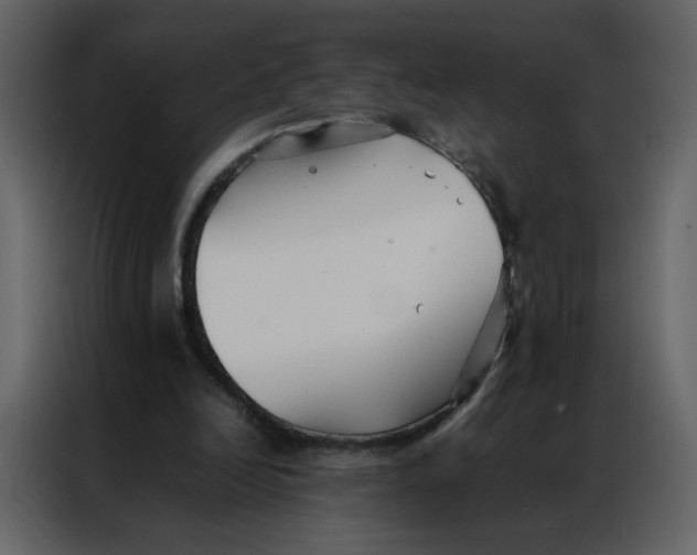 X0000086990246200705071442