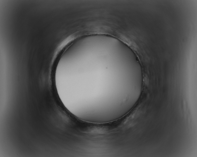 X0000086990248200705071442