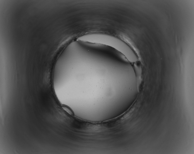 X0000086990249200705071442