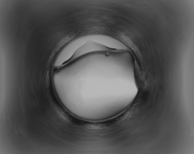 X0000086990250200705071442