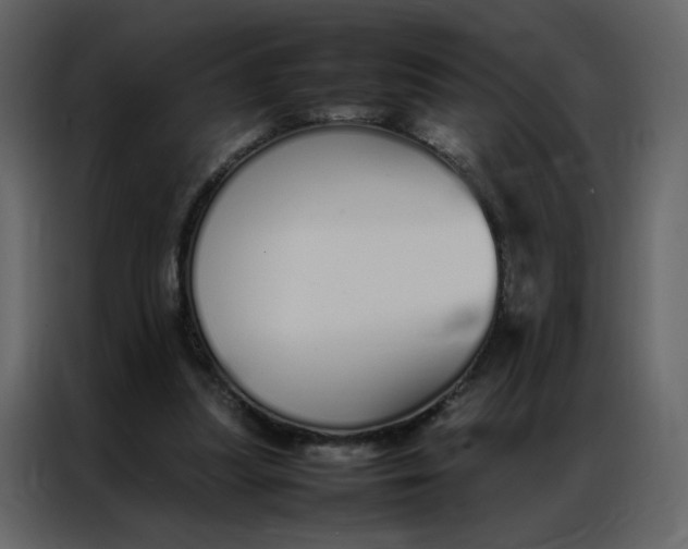 X0000086990251200705071442