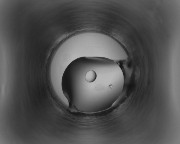 X0000086990252200705071442