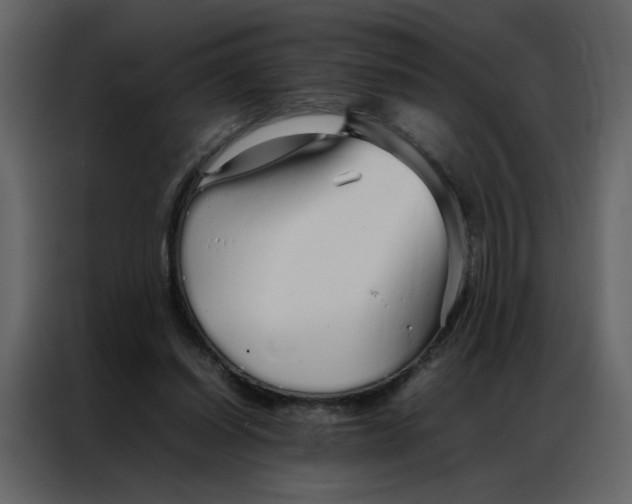 X0000086990254200705071442