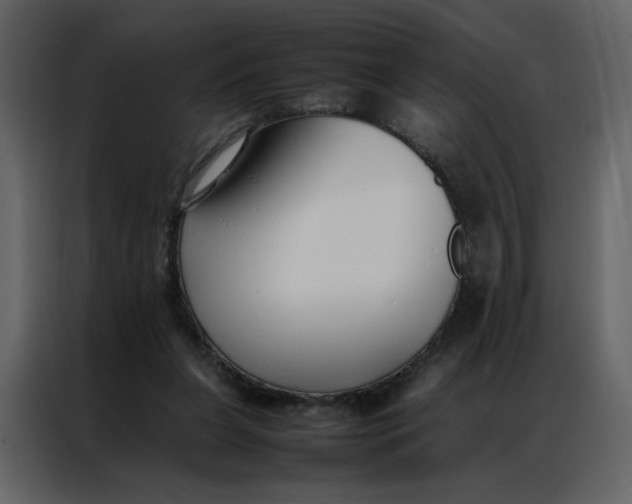 X0000086990255200705071442