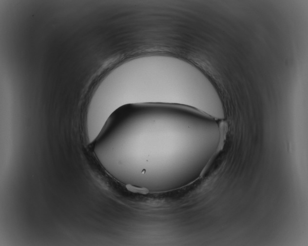 X0000086990256200705071442