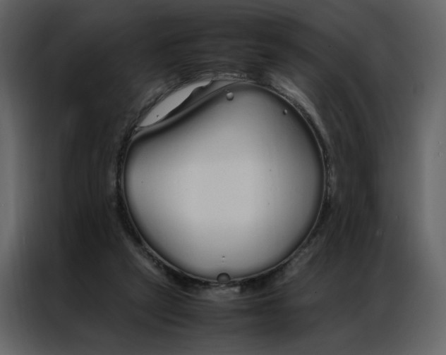 X0000086990257200705071442