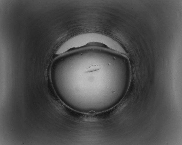 X0000086990258200705071442