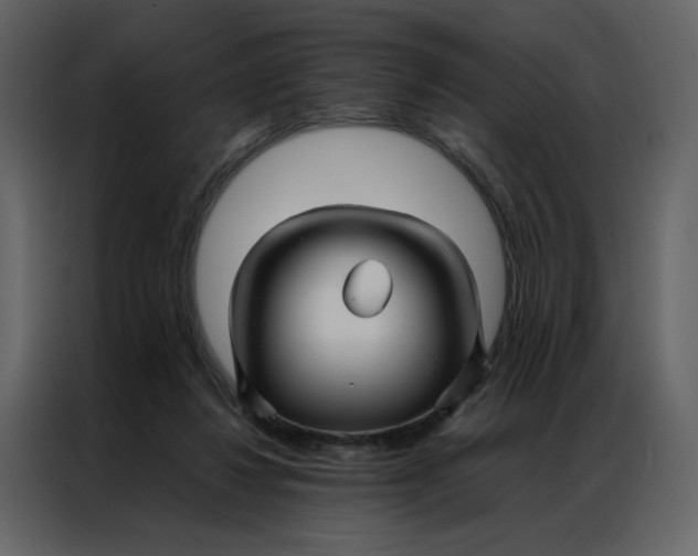 X0000086990260200705071442