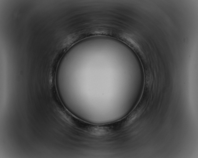 X0000086990261200705071442