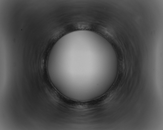 X0000086990263200705071442