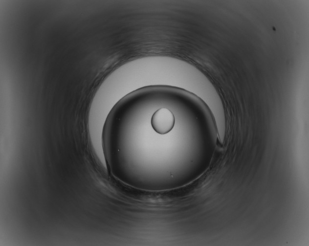 X0000086990264200705071442