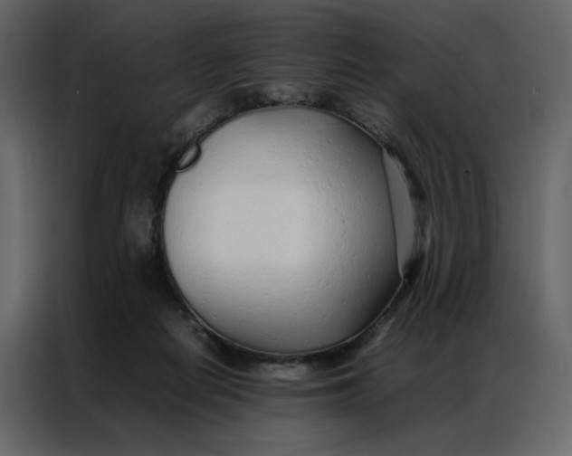 X0000086990266200705071442