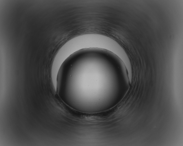 X0000086990268200705071442