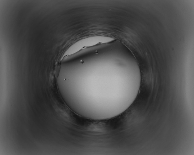 X0000086990271200705071442