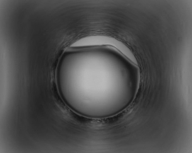 X0000086990272200705071442