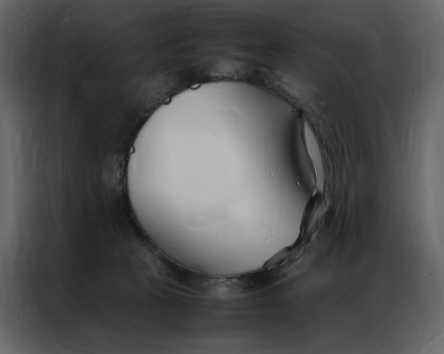 X0000086990273200705071442