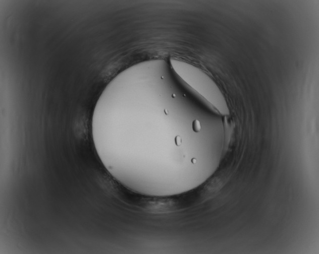 X0000086990274200705071442