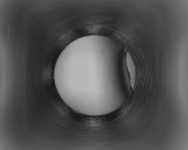 X0000086990275200705071442