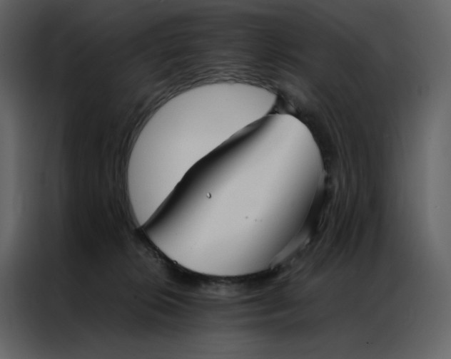 X0000086990276200705071442