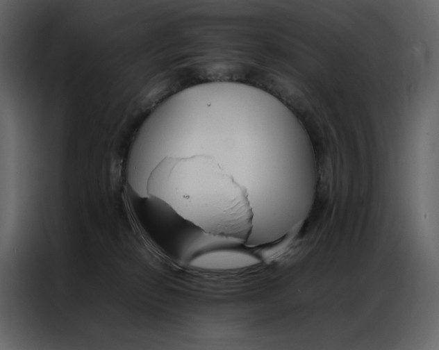 X0000086990278200705071442