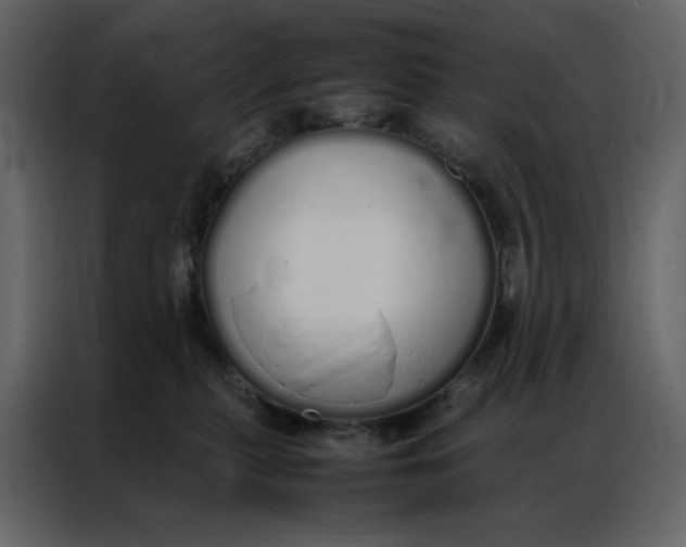 X0000086990279200705071442