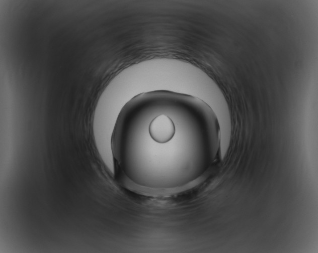 X0000086990280200705071442