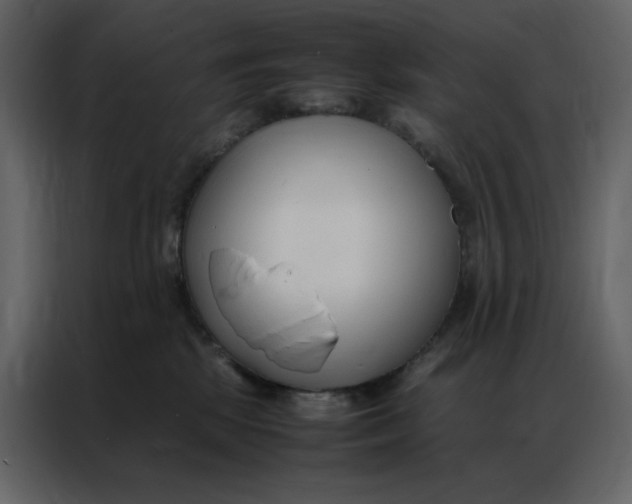 X0000086990281200705071442