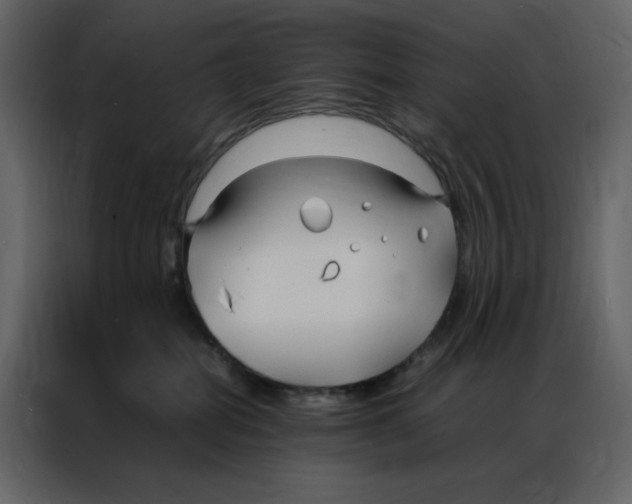 X0000086990282200705071442