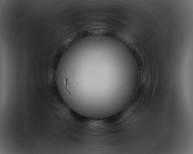 X0000086990283200705071443