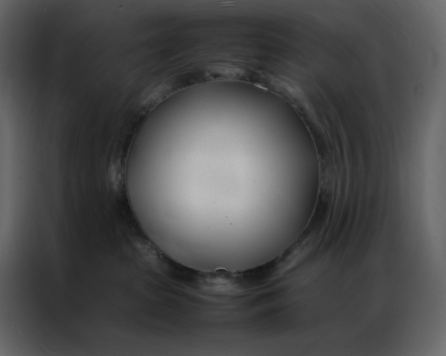 X0000086990285200705071443