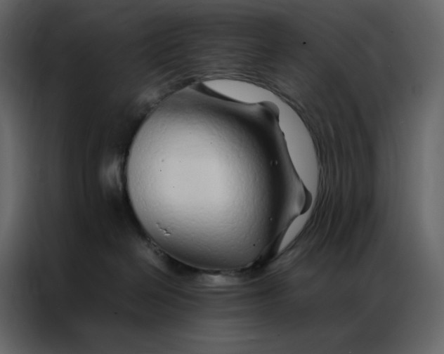 X0000086990286200705071443