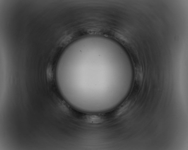 X0000086990287200705071443