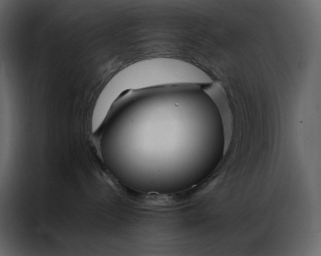 X0000086990288200705071443