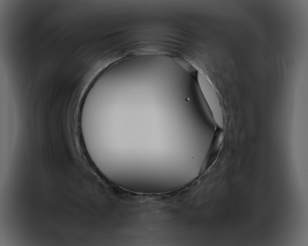 X0000086990289200705071442