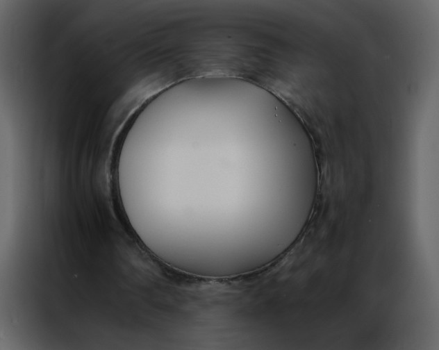 X0000086990290200705071442