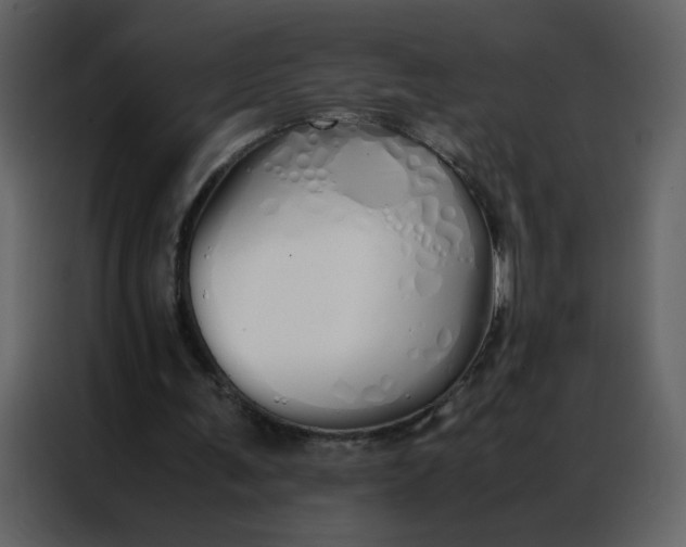 X0000086990291200705071442