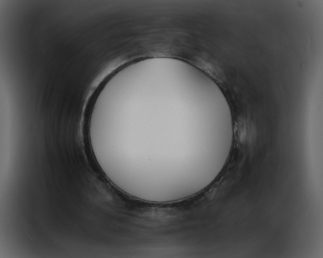 X0000086990292200705071442