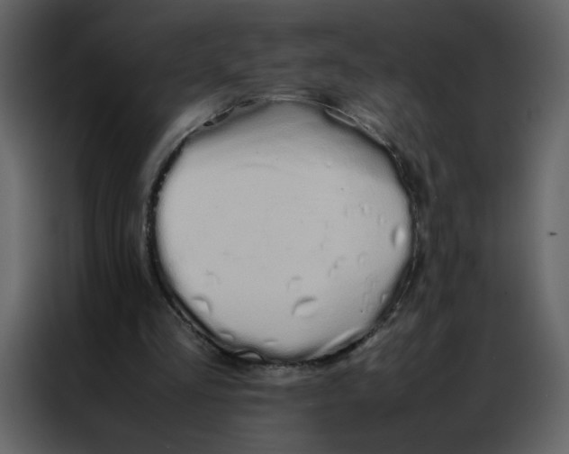 X0000086990293200705071442