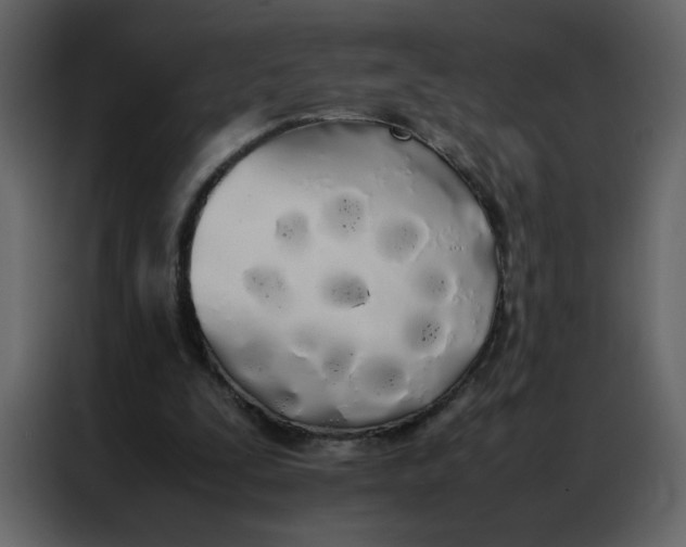 X0000086990295200705071442