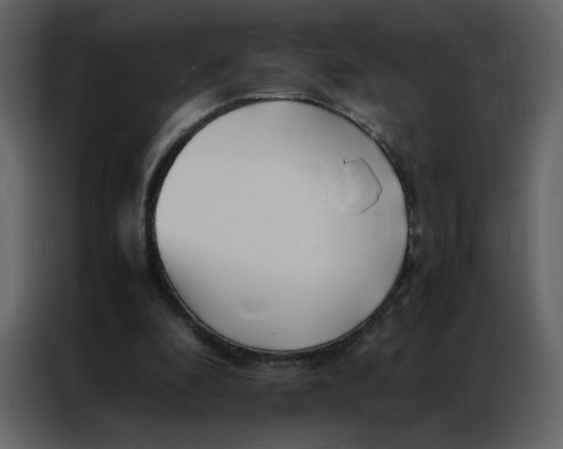 X0000086990296200705071442