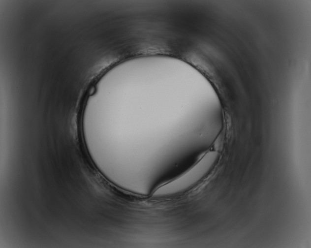 X0000086990298200705071442