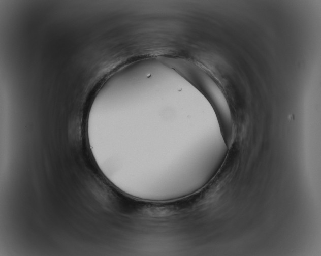 X0000086990299200705071442