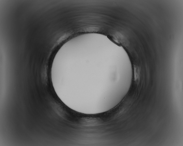 X0000086990300200705071442