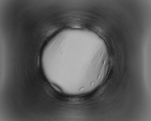 X0000086990301200705071442