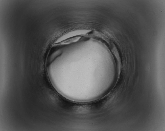 X0000086990303200705071442