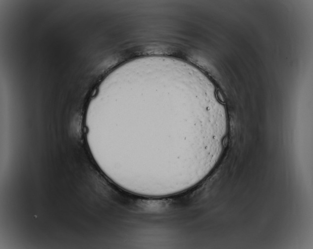 X0000086990305200705071442